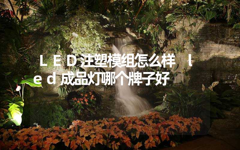 LED注塑模组怎么样 led成品灯哪个牌子好